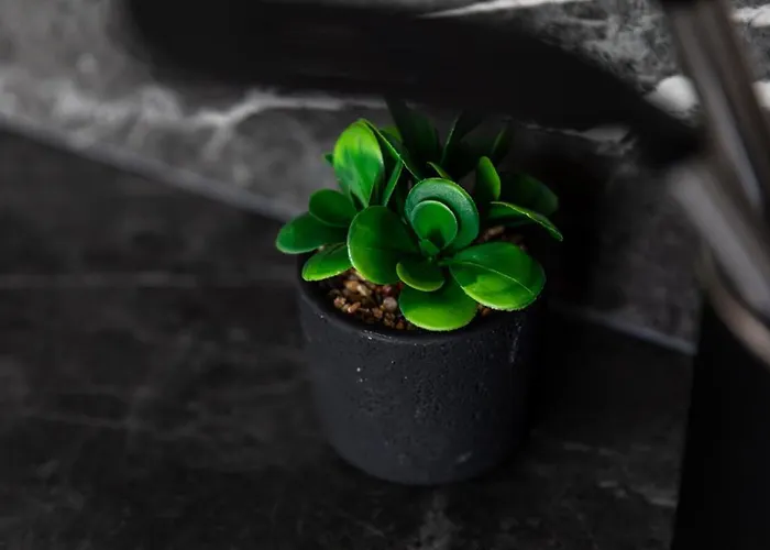 10 Min From Efteling And Apartamento